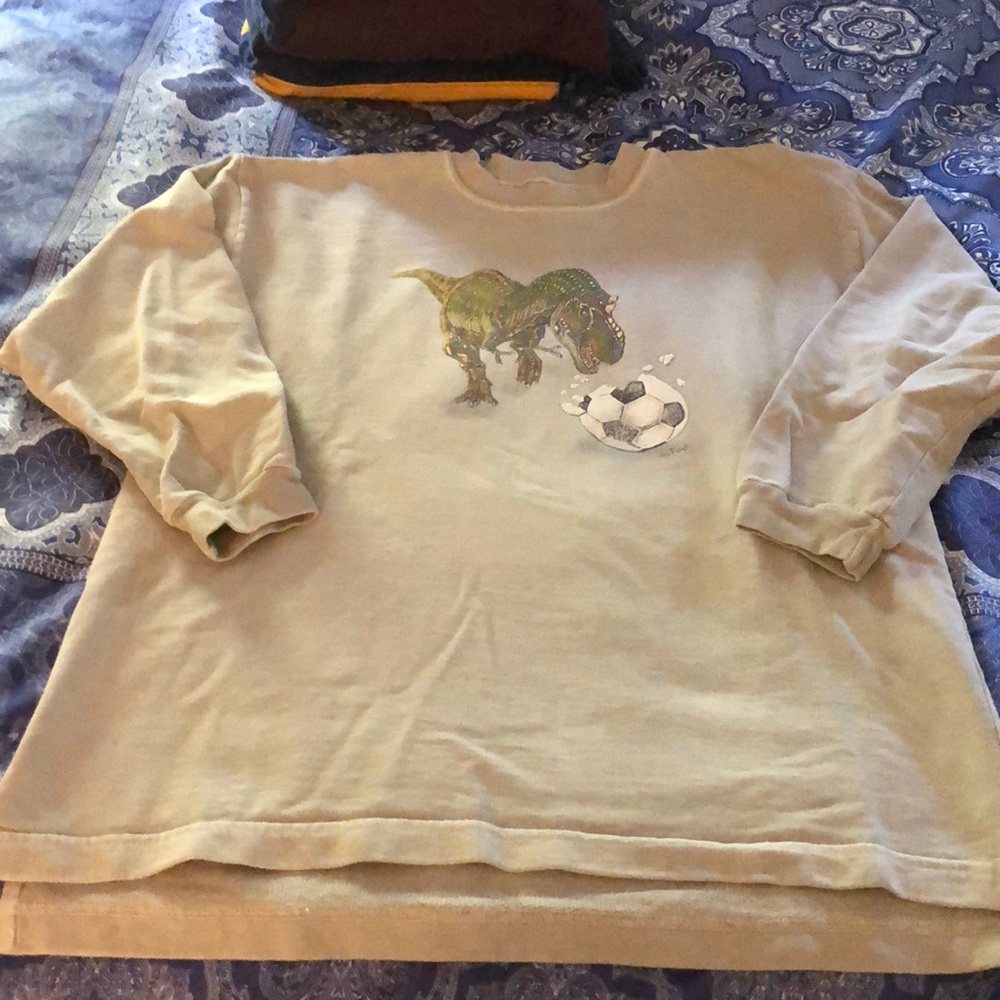 Dinosaur soccer sweatshirt